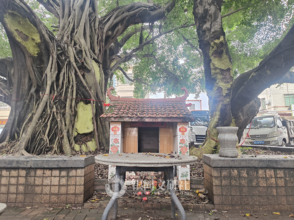 海沧区 海沧街道 囷瑶村 北市社 土地公庙（北市林祭拜）