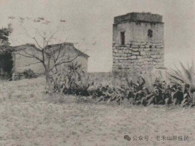 禾山掌故之36 禾山的抢楼