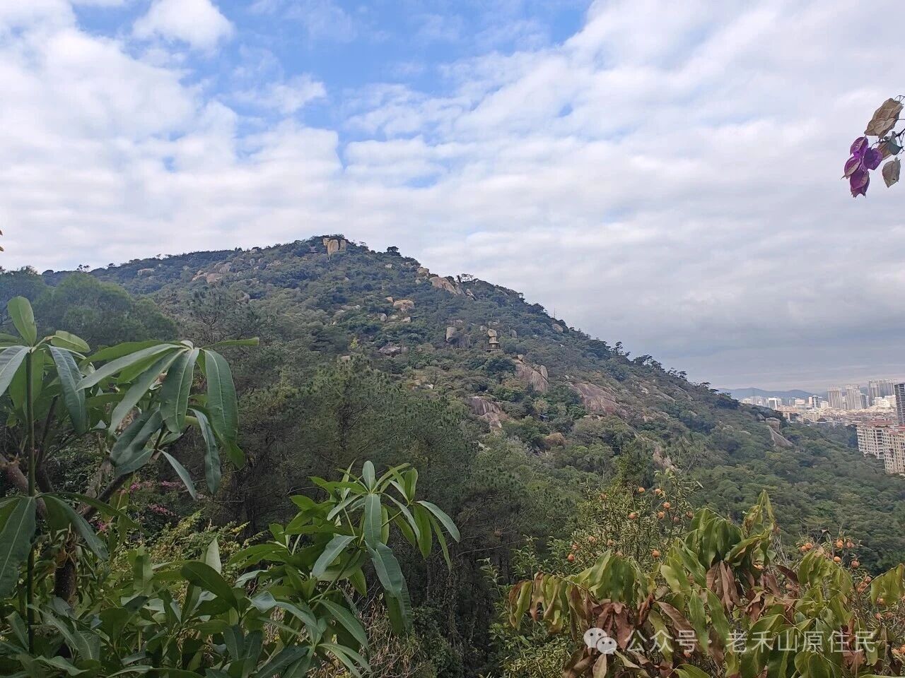 禾山掌故之43  磨心山